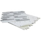 Noriker (6-pack)